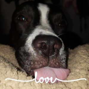 Meet your Posher, Carey